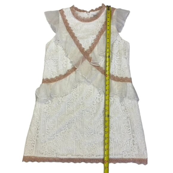 Amur Topeka Lace and Silk Dress - Picture 14 of 14